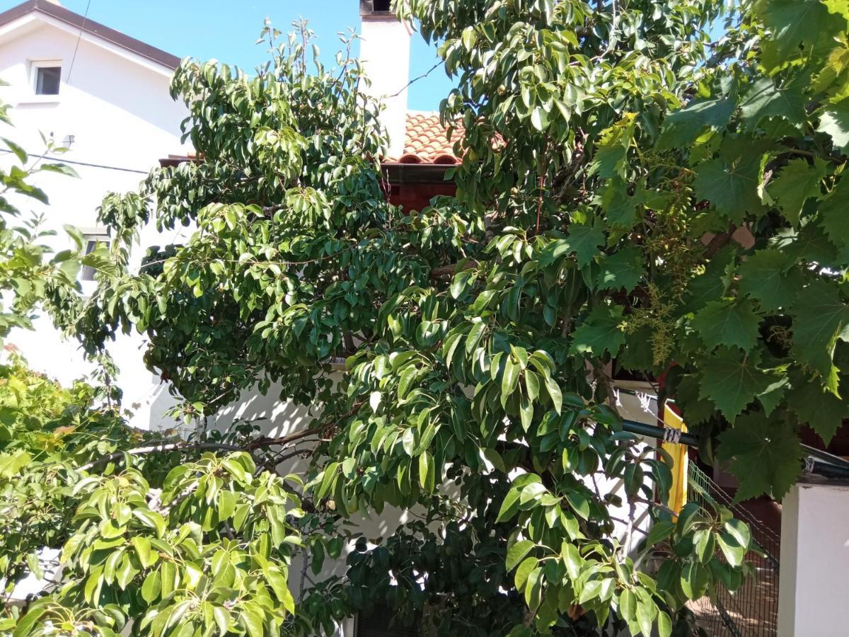 Apartments Antares Mali Lošinj Eksteriør billede