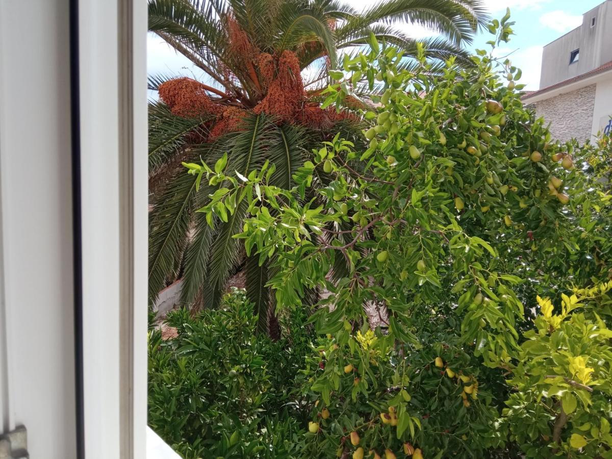 Apartments Antares Mali Lošinj Eksteriør billede