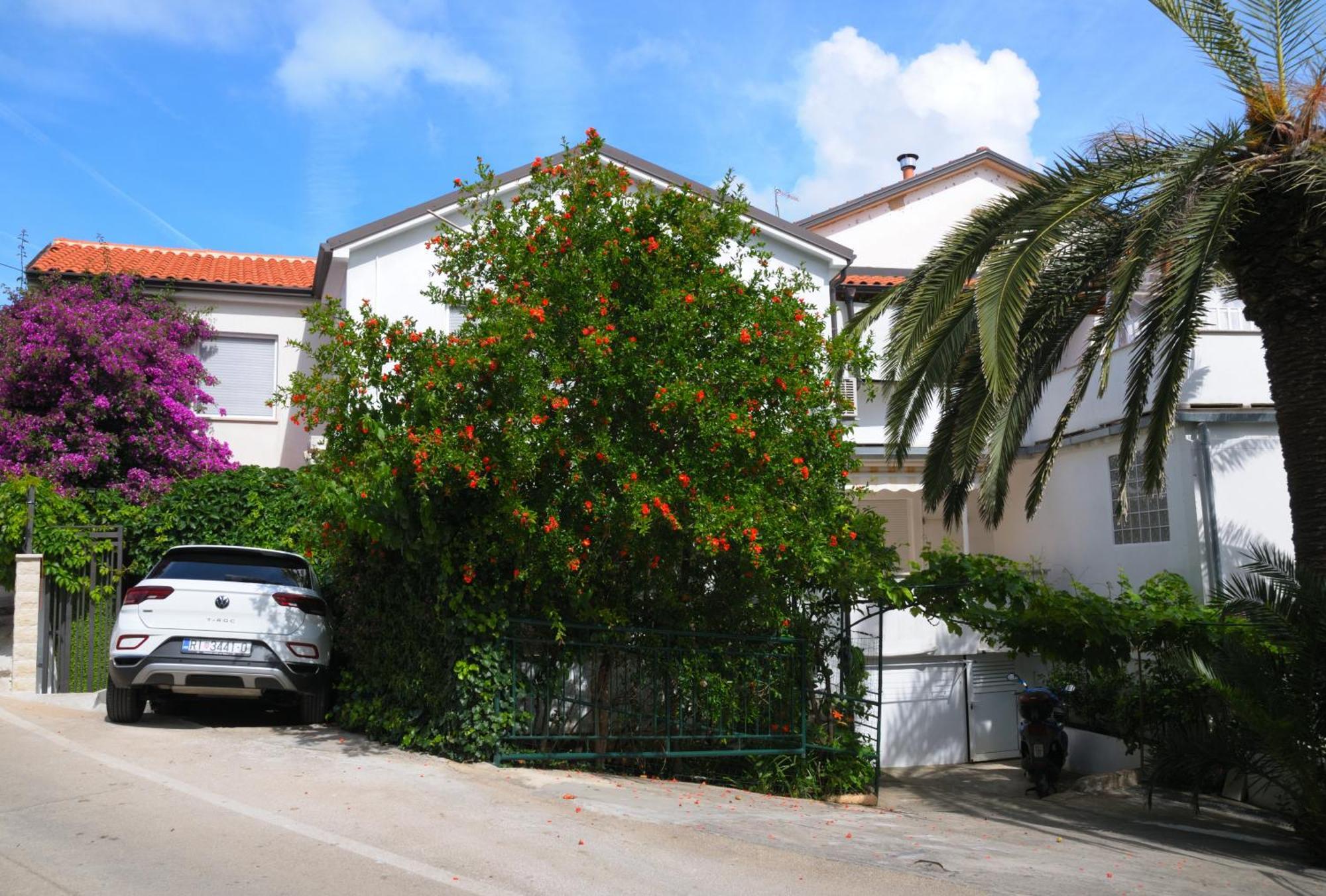 Apartments Antares Mali Lošinj Eksteriør billede