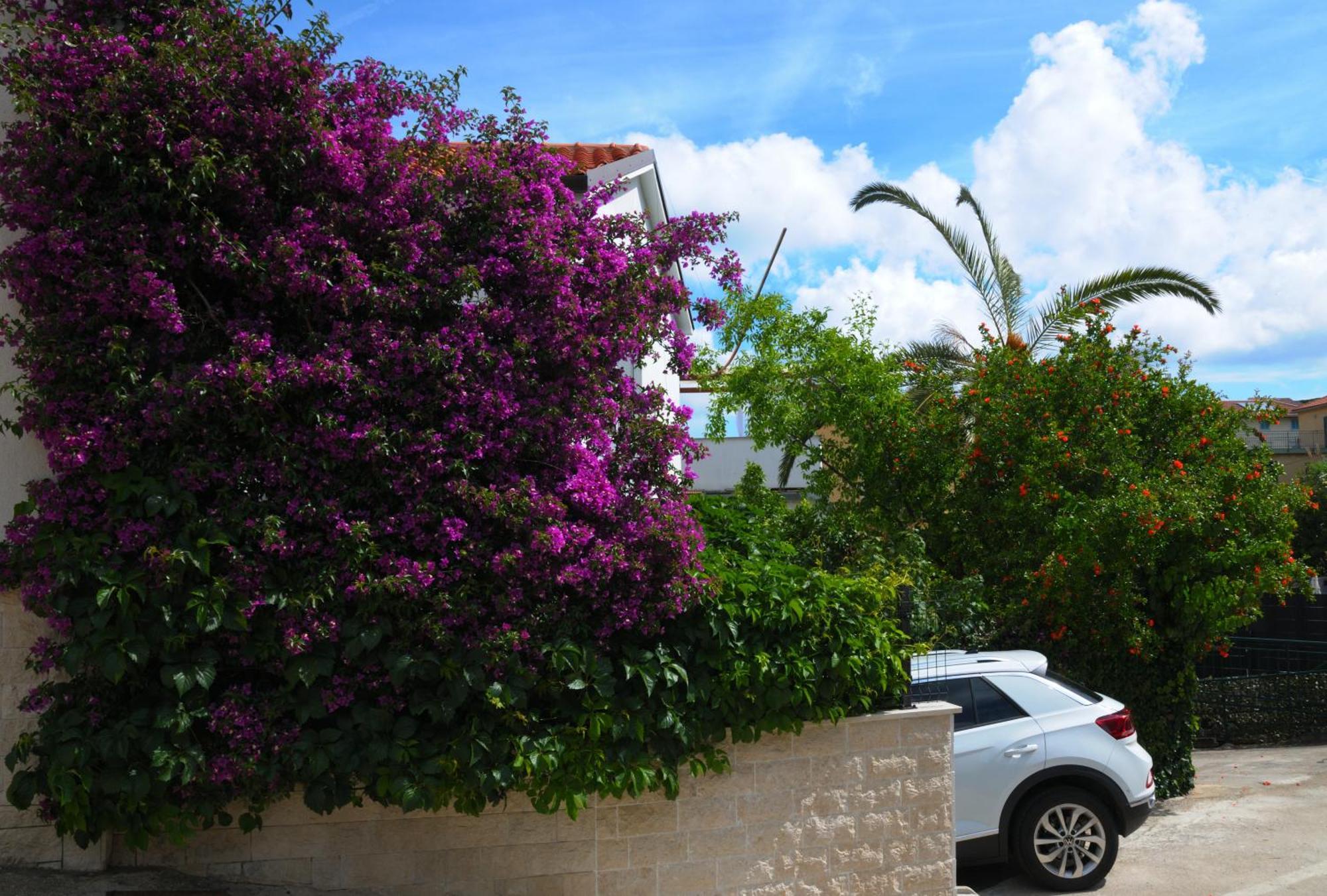 Apartments Antares Mali Lošinj Eksteriør billede